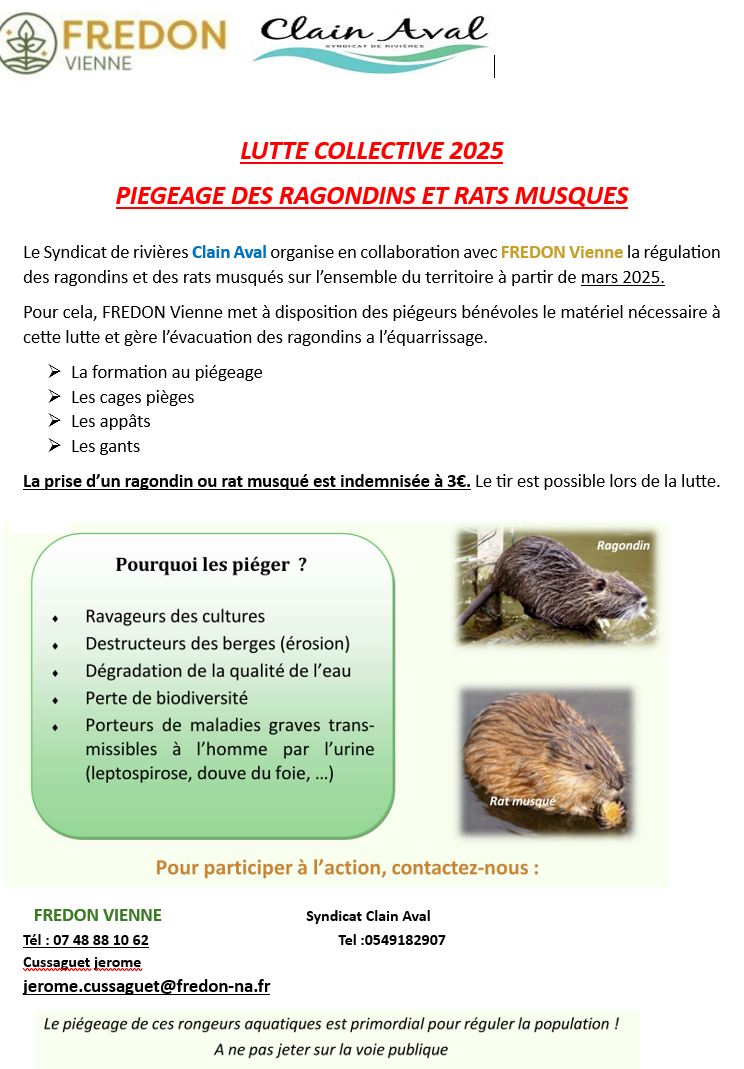AFFICHE RAGONDINS.PNG