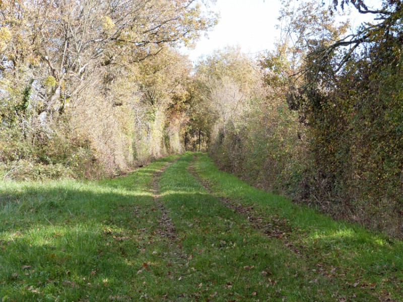chemin de randonnée 67.jpg