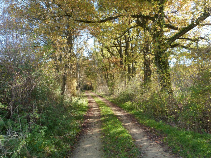 chemin de randonnée 72.jpg