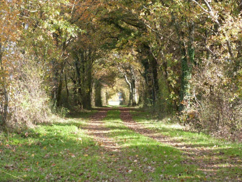 chemin de randonnée 2.jpg