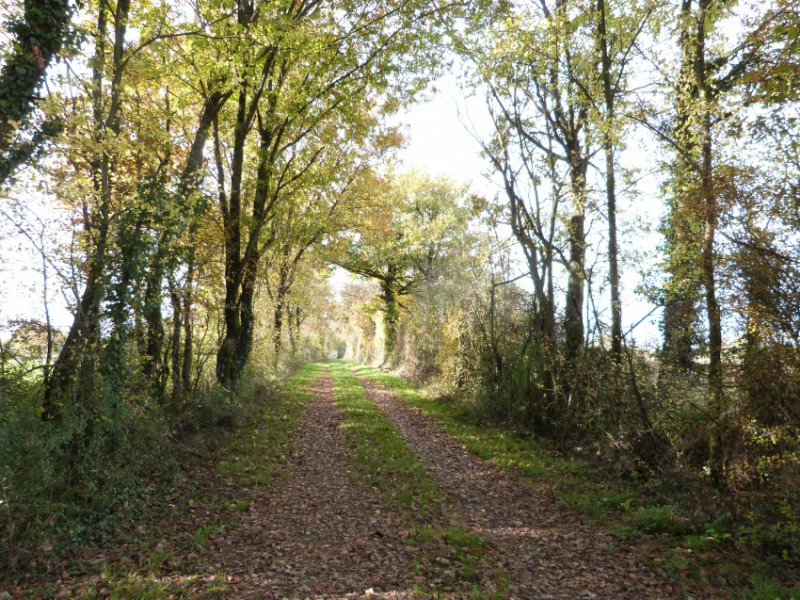 chemin de randonnée 62.jpg