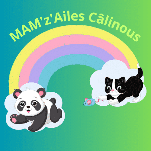 MAM_z_Ailes Câlinous_20240721_200510_0000.png