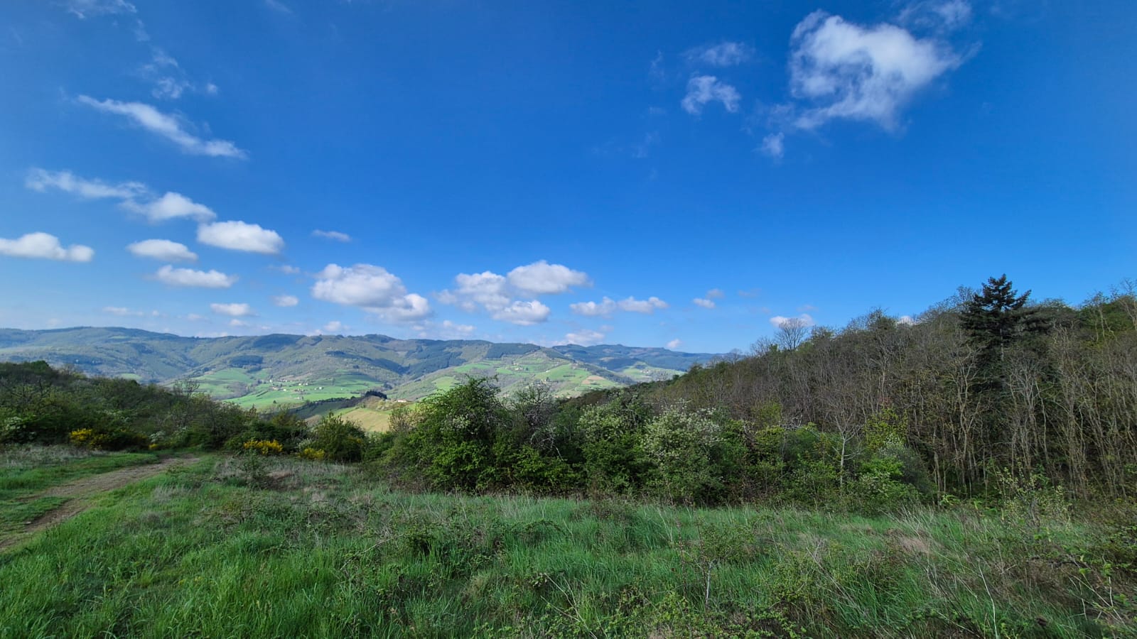2025 - Randonneurs - Marche du dimanche - ©Philippe Raibaud _19_.jpg
