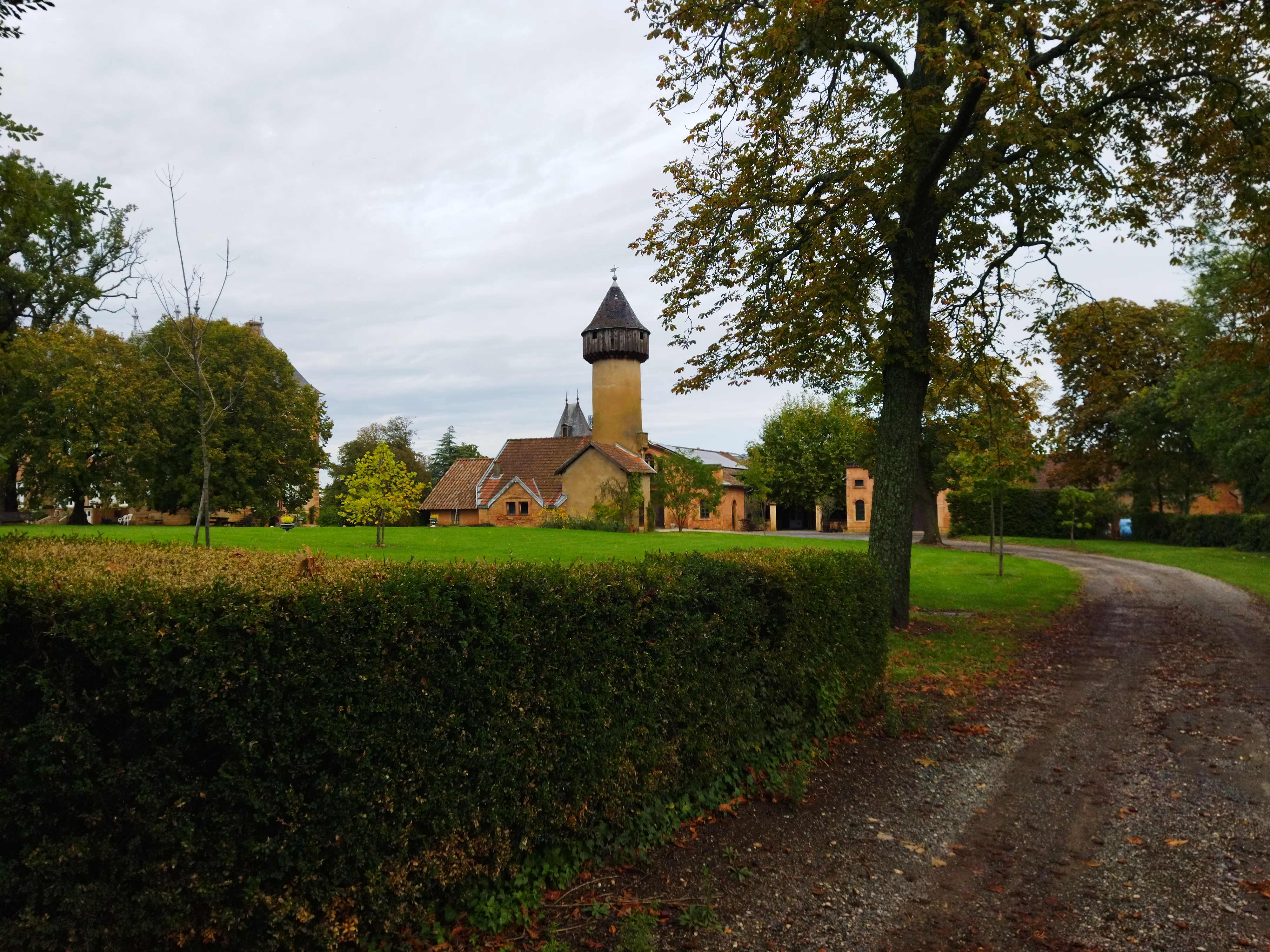 2025 - Marche Séniors du mardi - ©Philippe Raibaud _1_.jpg