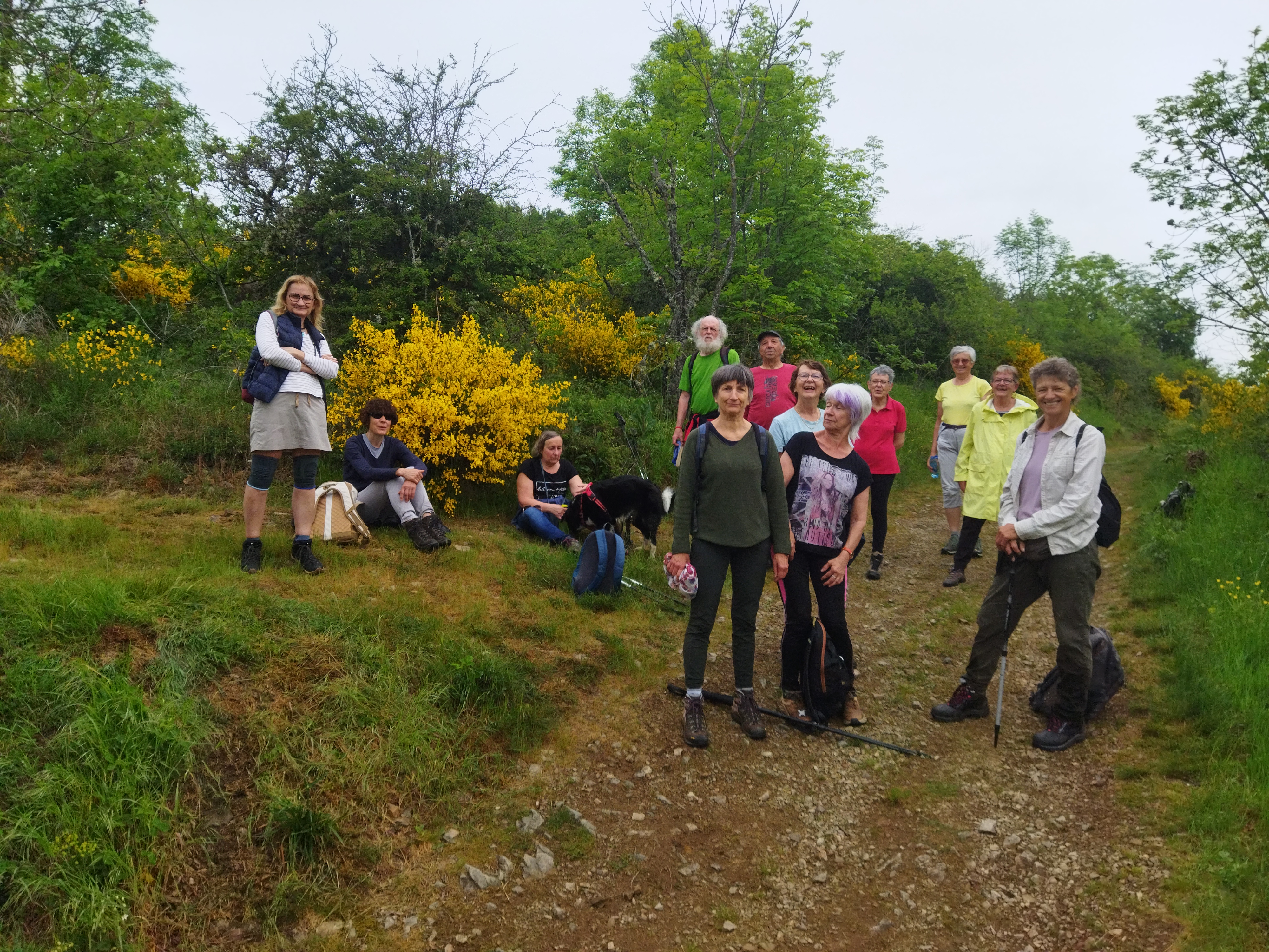 new 2026 - CDF _9_.jpg