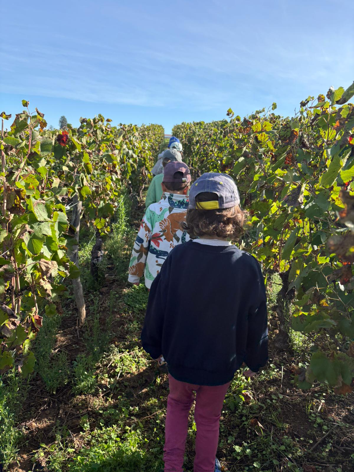 Maison enchantee 2025 _1_.jpg