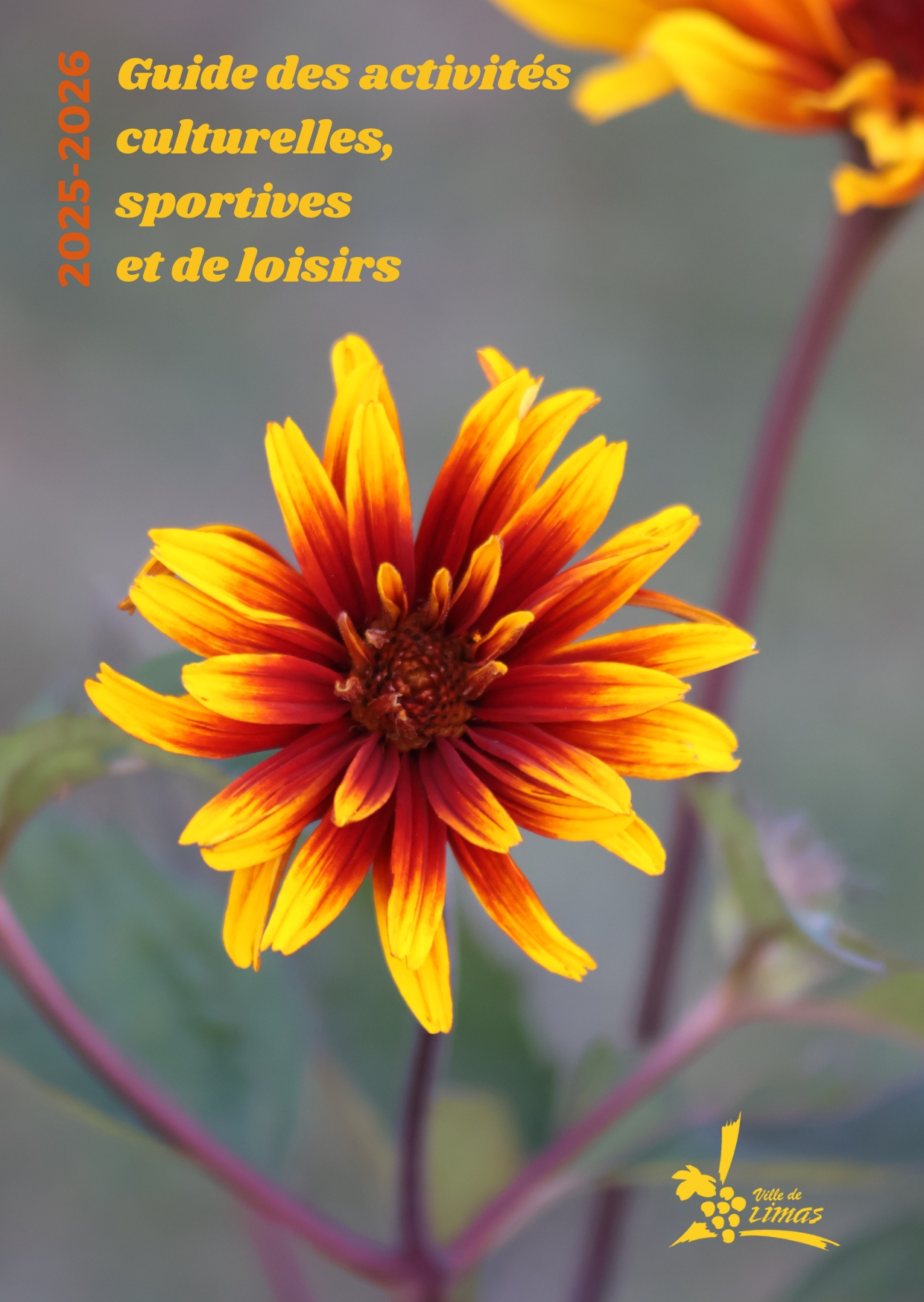 Guide des activités culturelles, sportives et de loisirs 2025-2026.jpg