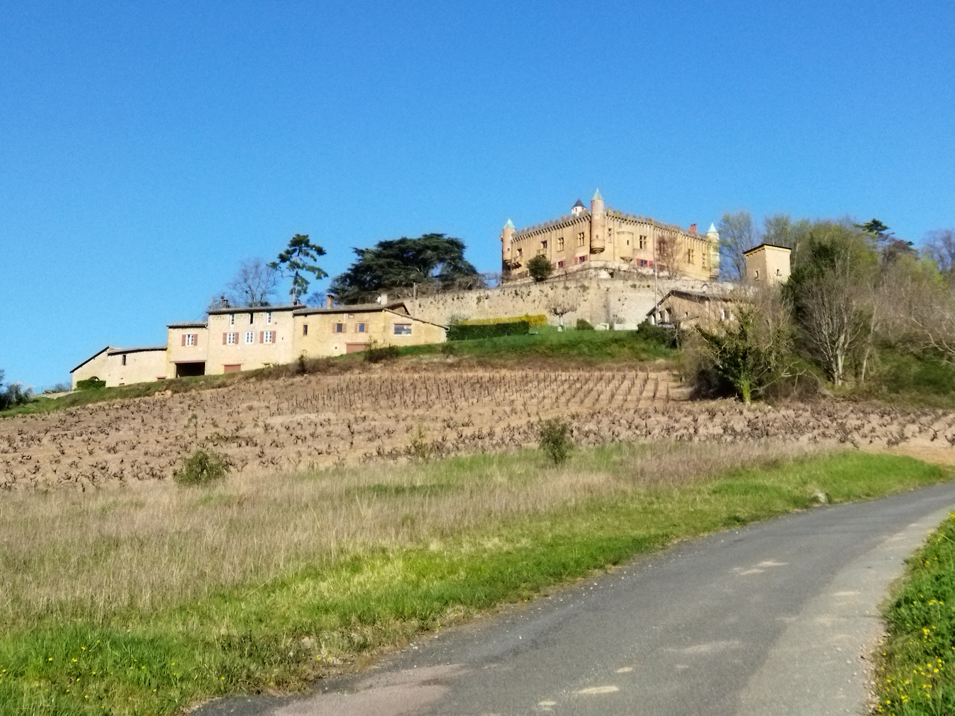 2025 - Randonneurs - Marche du dimanche - ©Philippe Raibaud _13_.jpg
