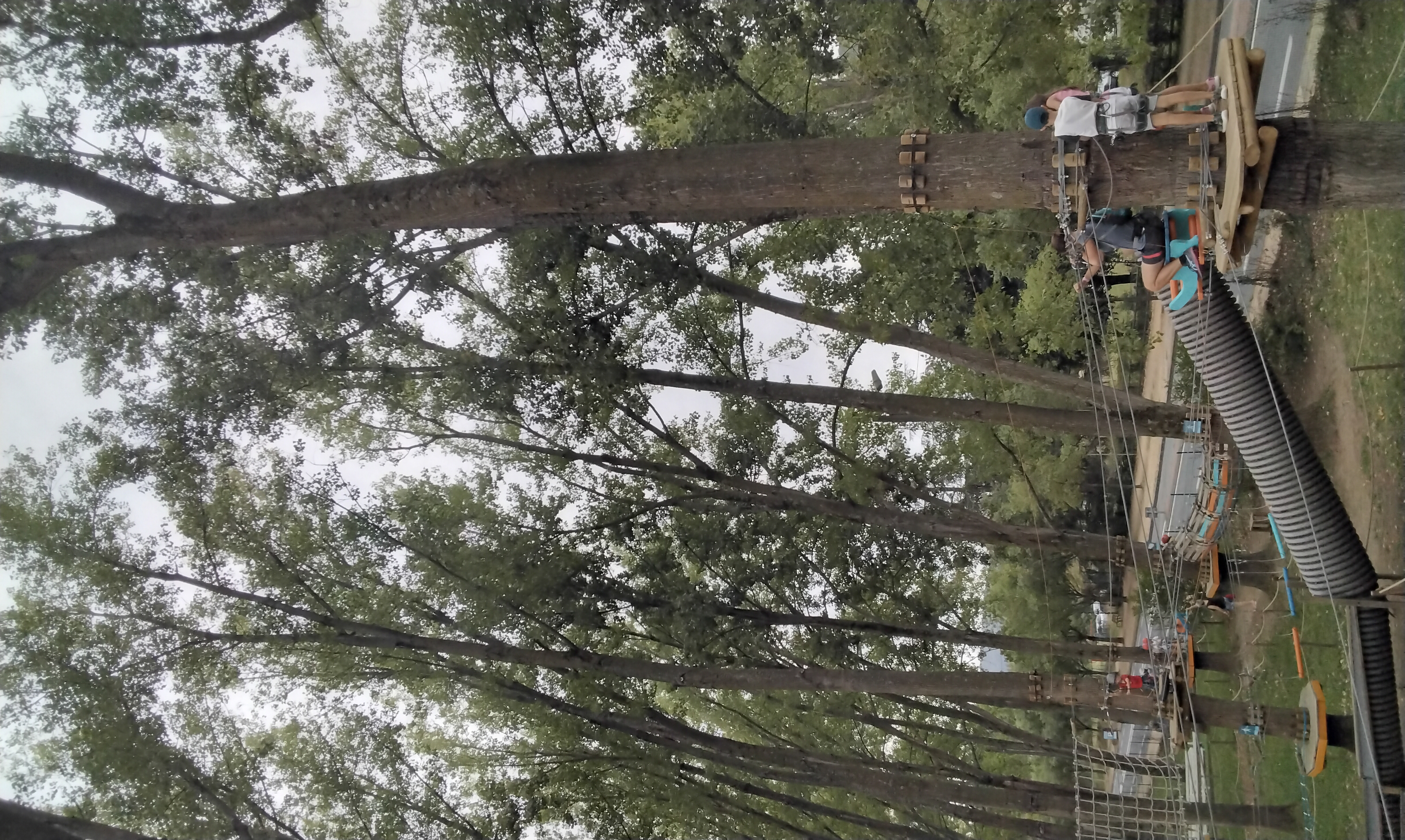 Nouveau explorateurs _12_.jpg