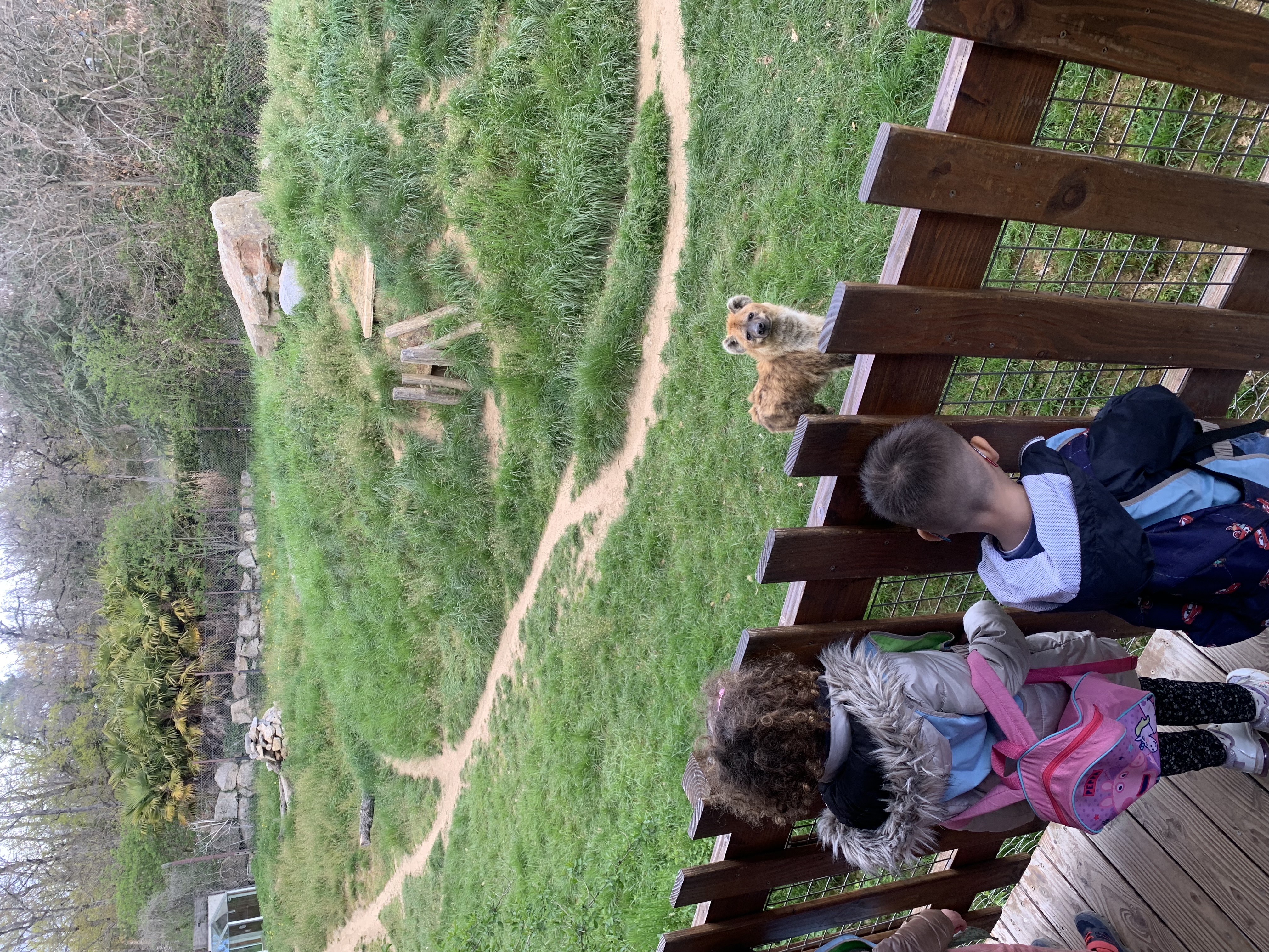 New Maison Enchantee _20_.jpg