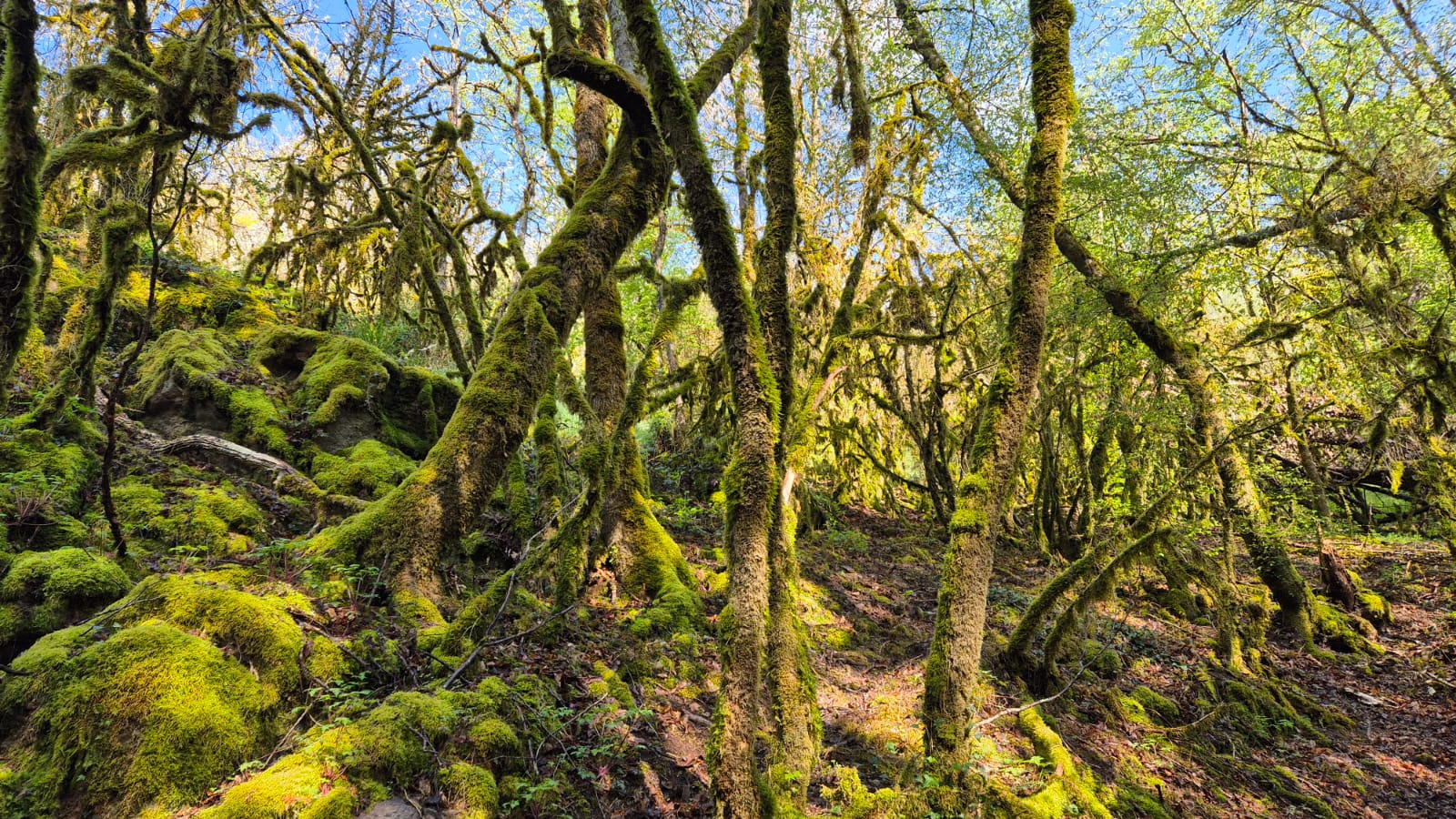 2025 - Randonneurs - Marche du dimanche - ©Philippe Raibaud _18_.jpg