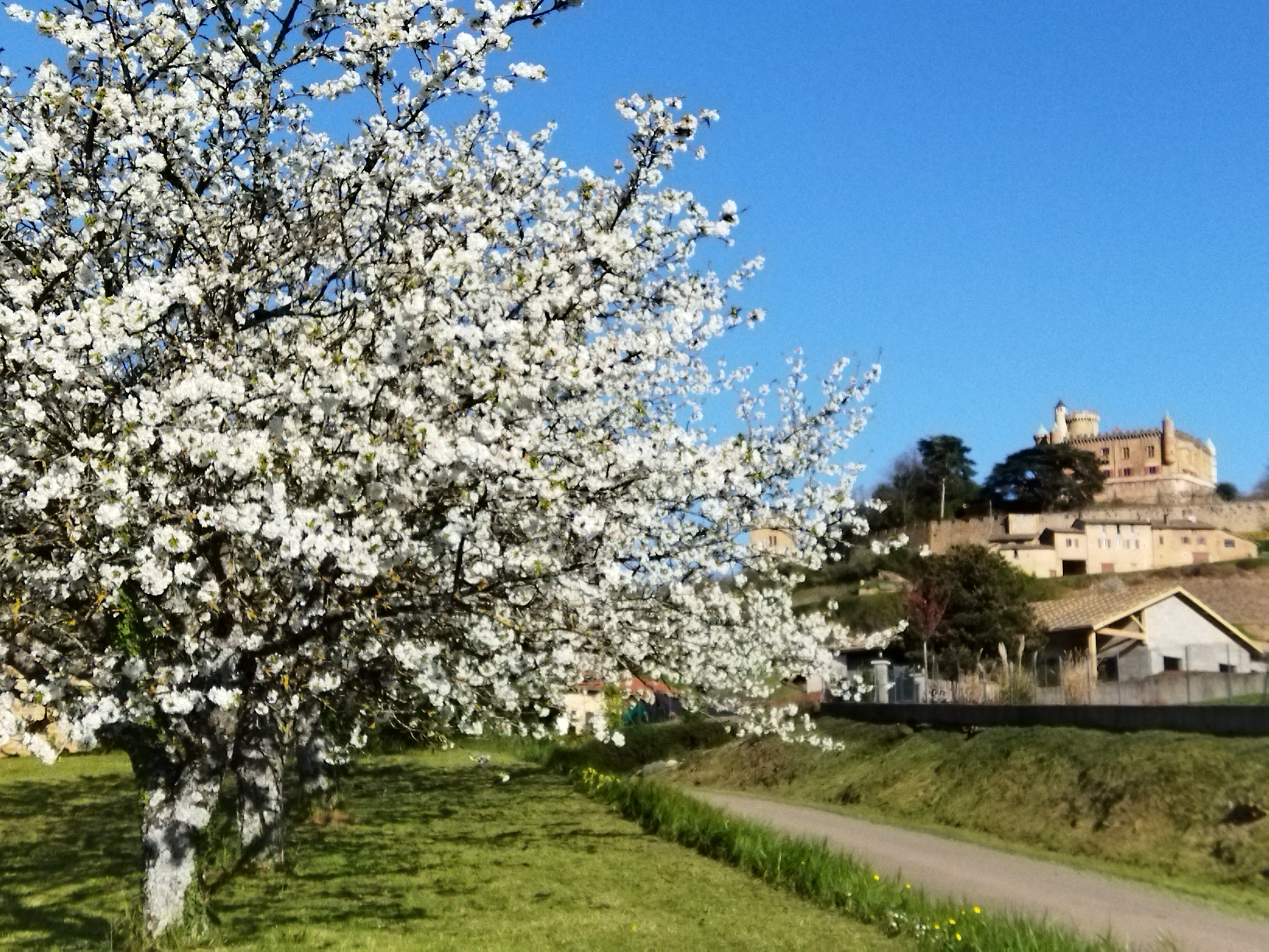 2025 - Marche Séniors du mardi - ©Philippe Raibaud _8_.jpg
