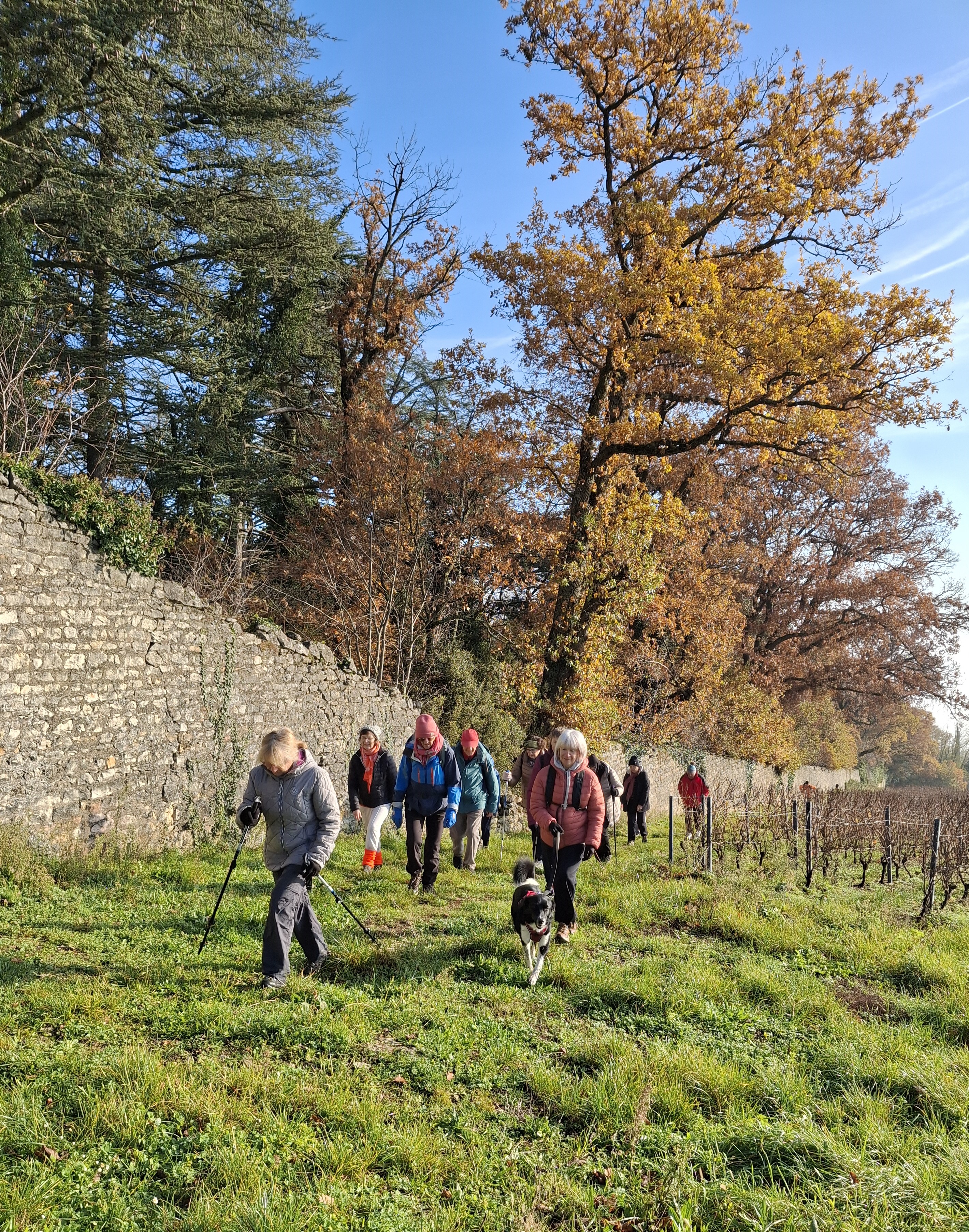 2025 - Randonneurs - Marche du dimanche - ©Philippe Raibaud _2_.jpg