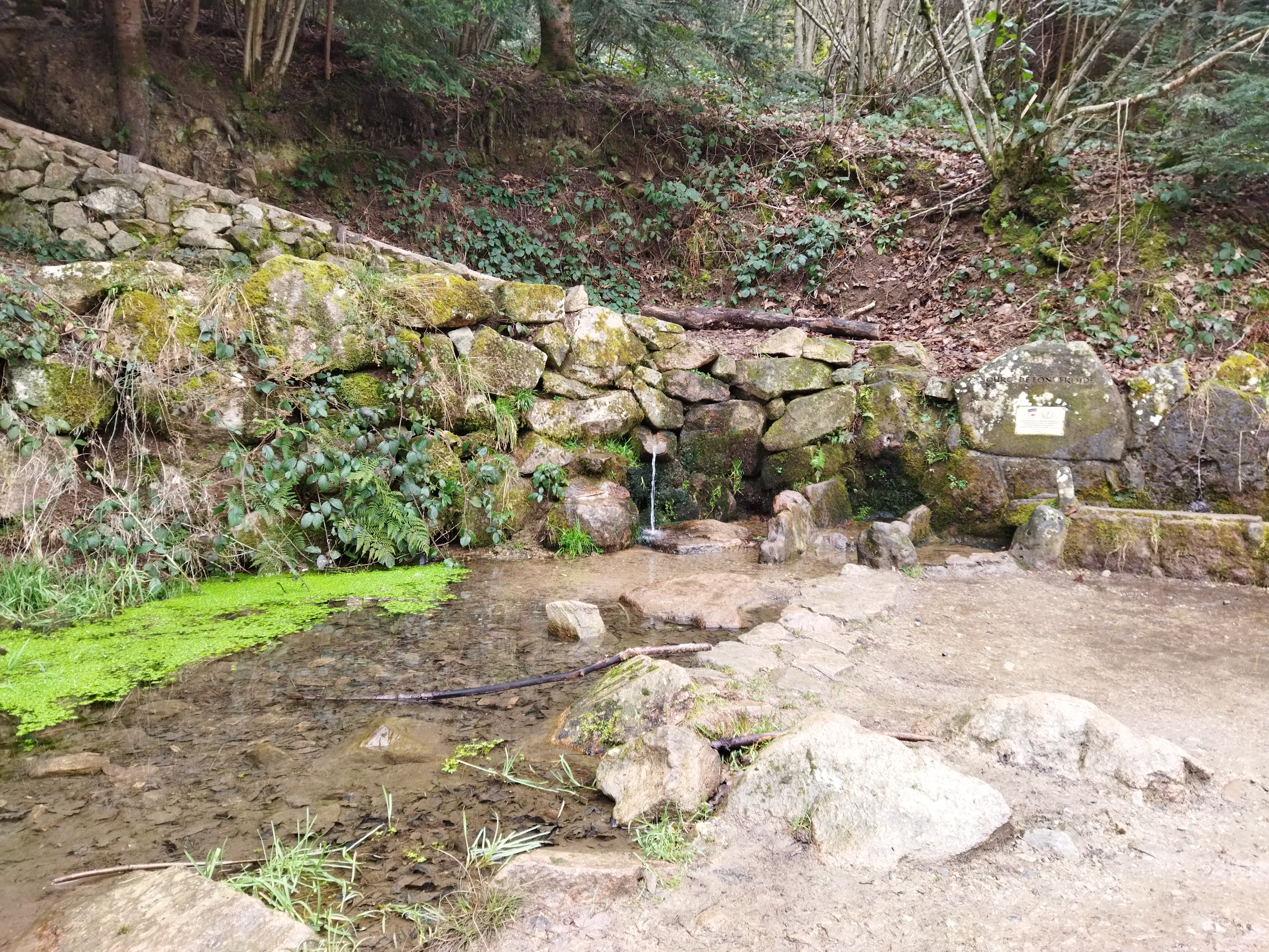 2025 - Randonneurs - Marche du dimanche - ©Philippe Raibaud _9_.jpg