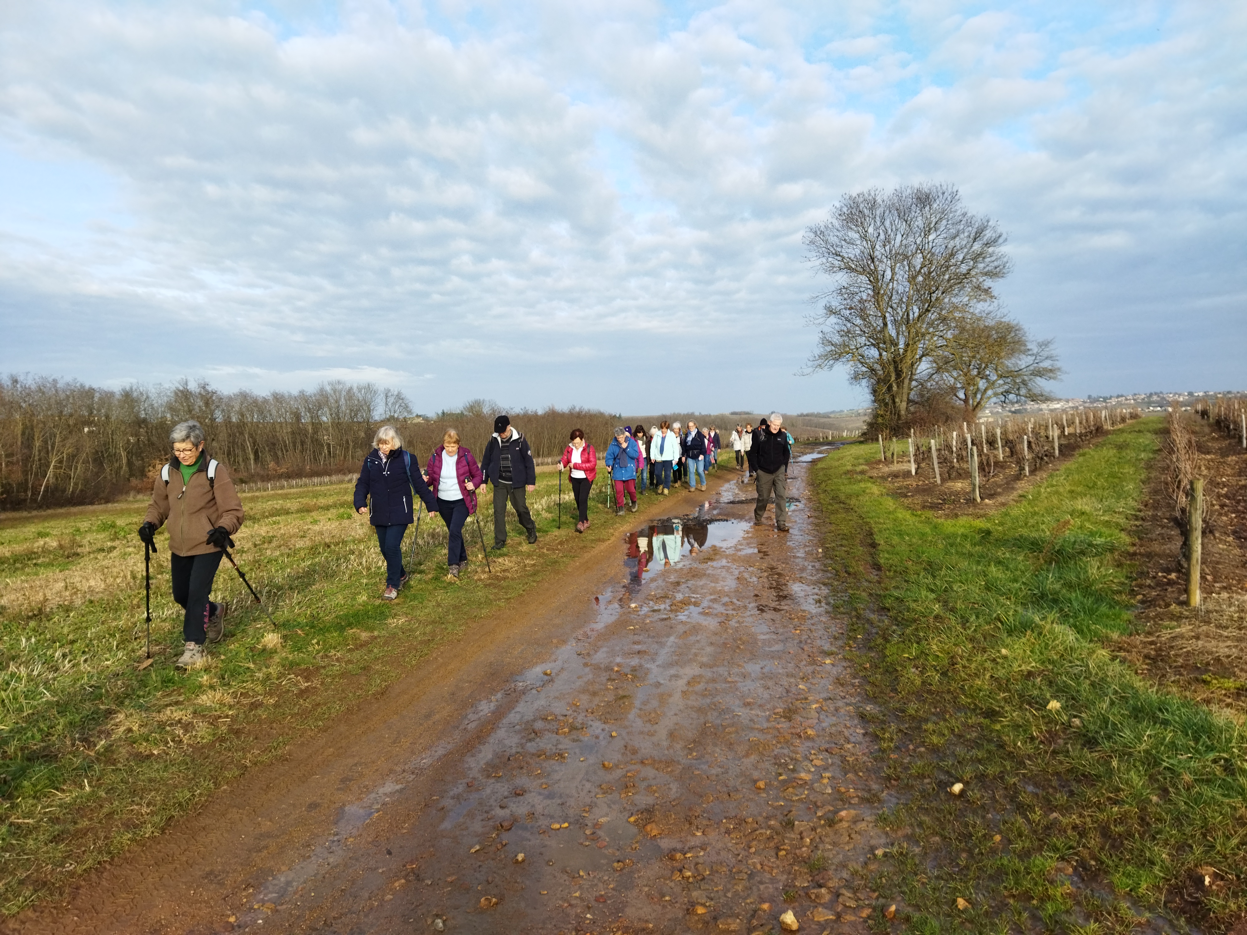 Randonneurs Limas 2025 _2_.jpg