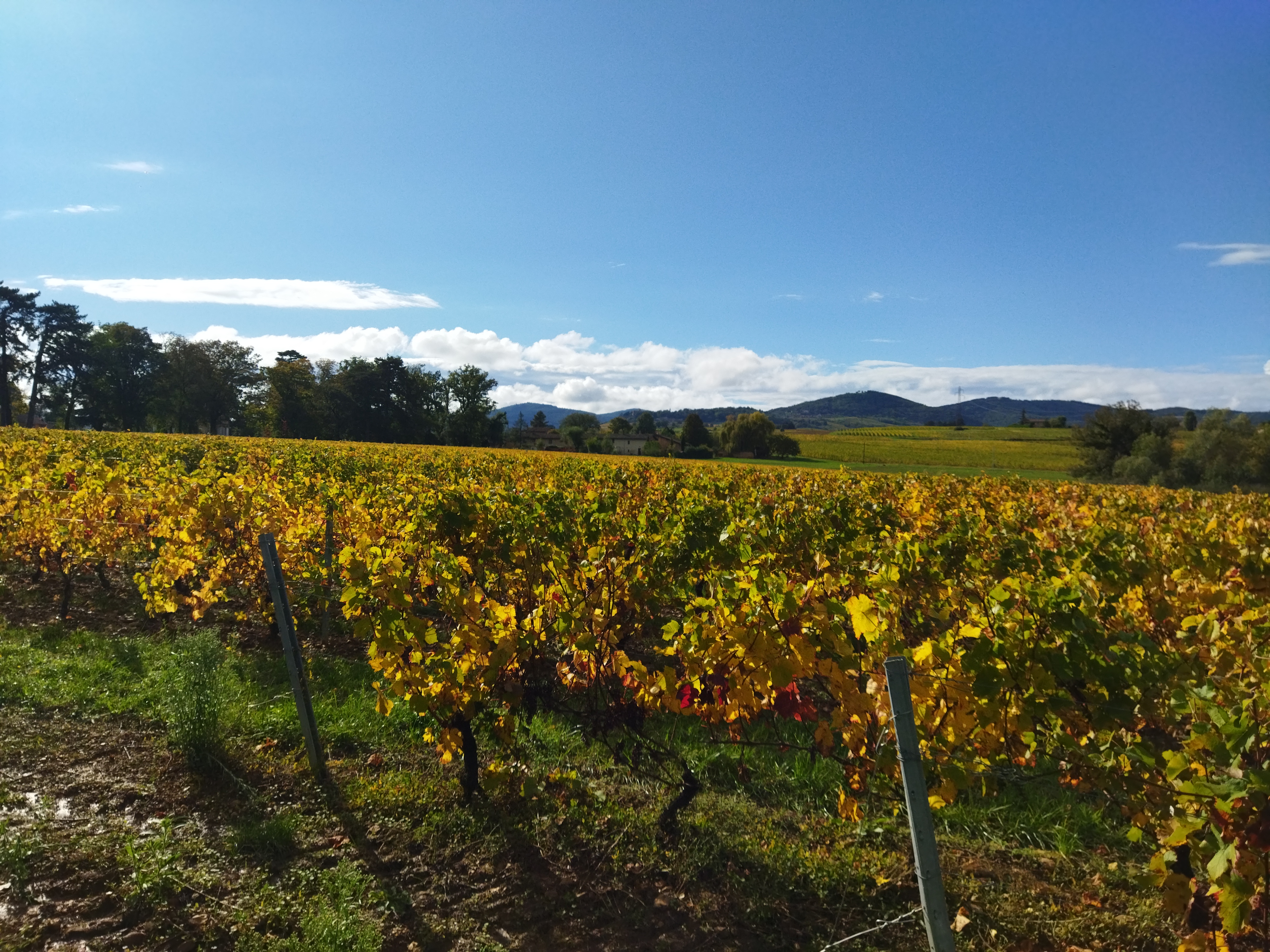 2025 - Marche Séniors du mardi - ©Philippe Raibaud _2_.jpg
