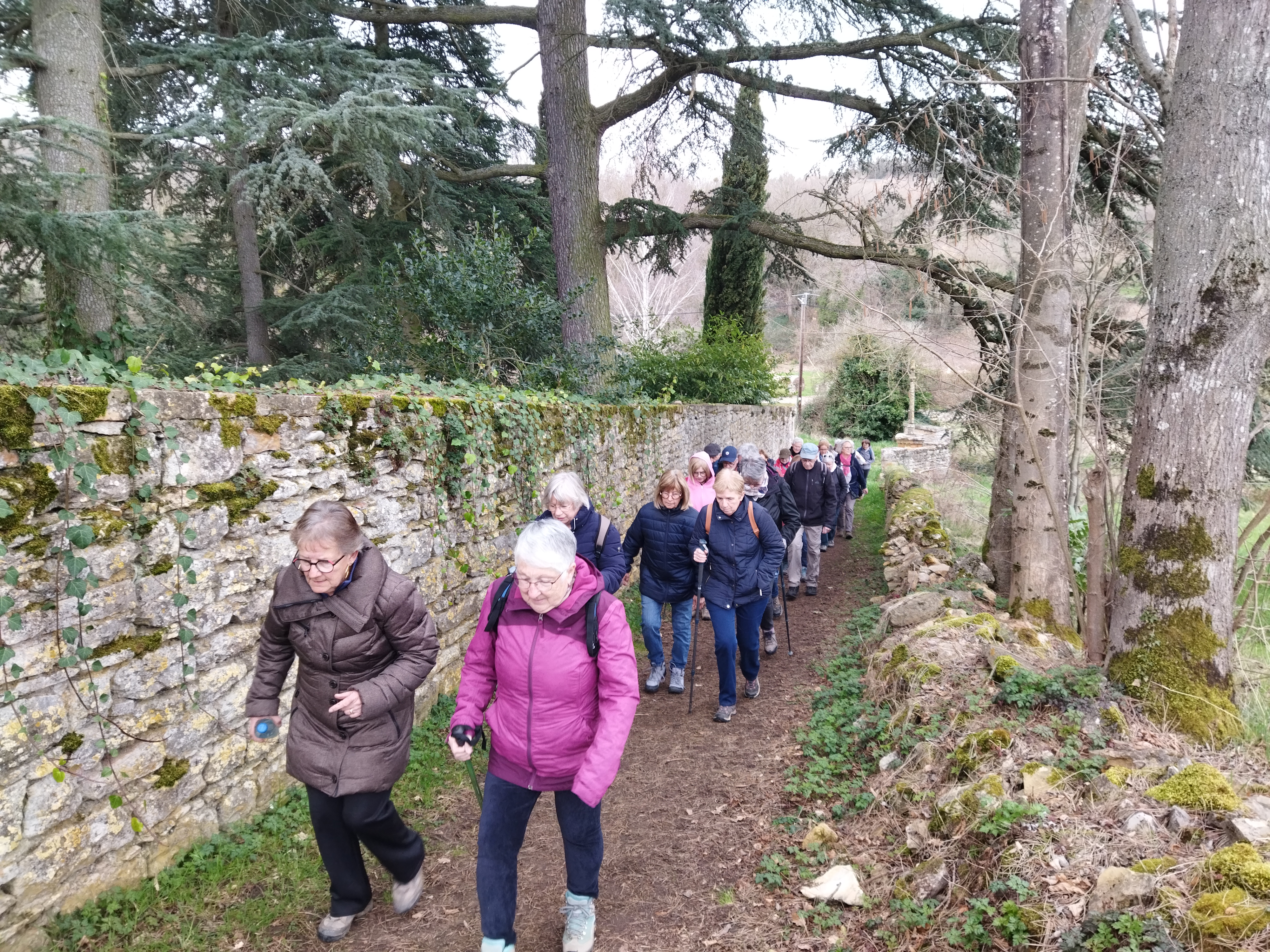 2025 - Marche Séniors du mardi - ©Philippe Raibaud _5_.jpg