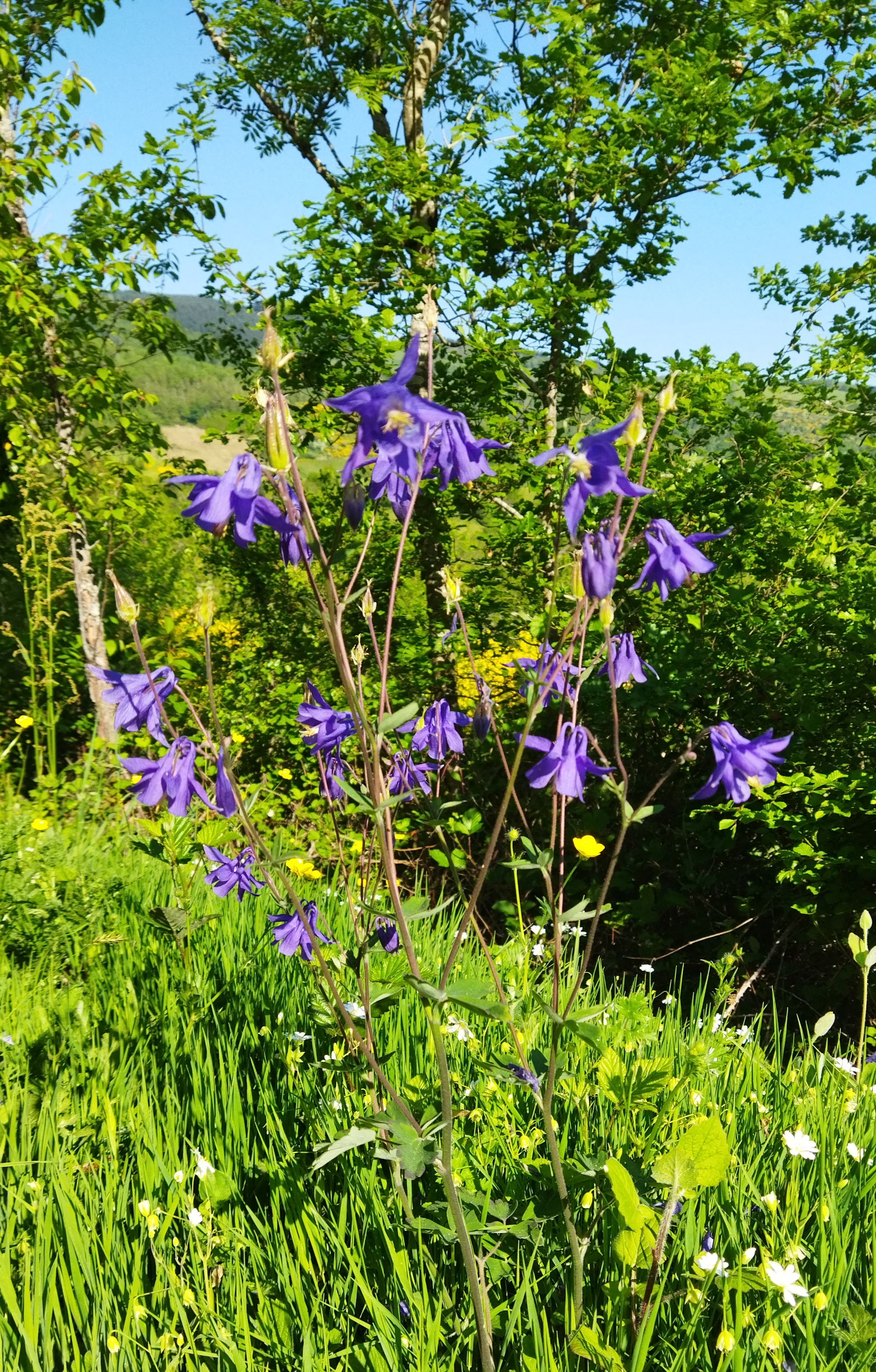 2025 - Marche Séniors du mardi - ©Philippe Raibaud _12_.jpg