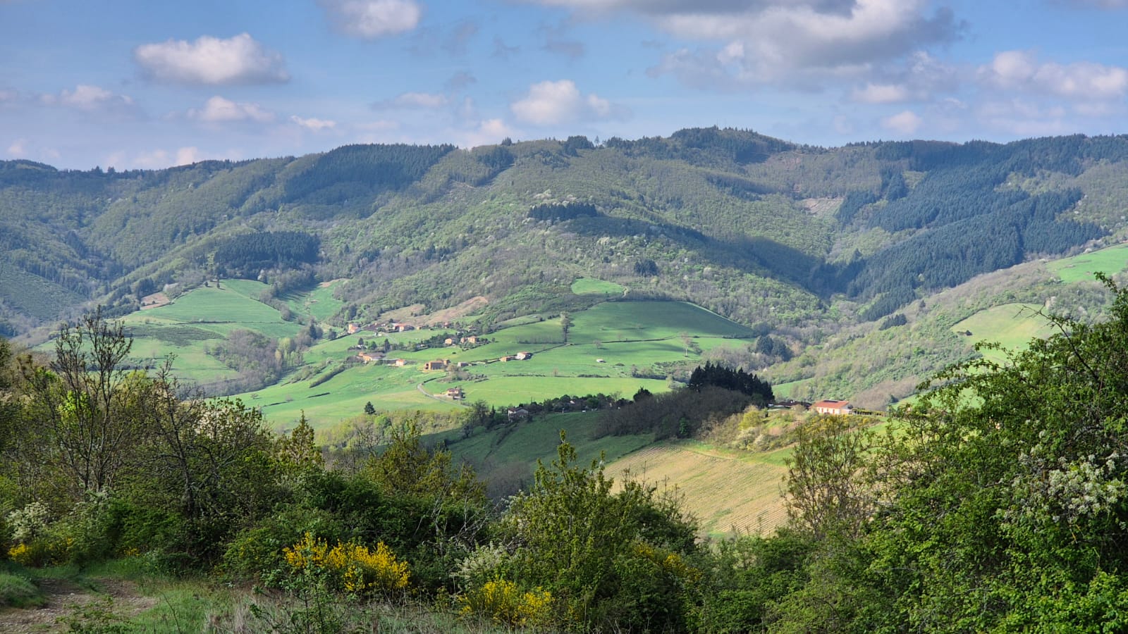 2025 - Marche Séniors du mardi - ©Philippe Raibaud _16_.jpg