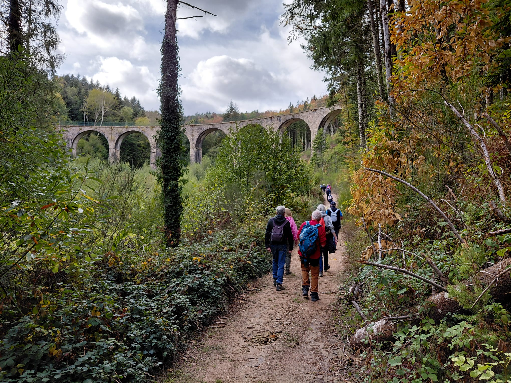 20261011 - Marche du Tacot - ©Jocelyne Michon _6_.jpg
