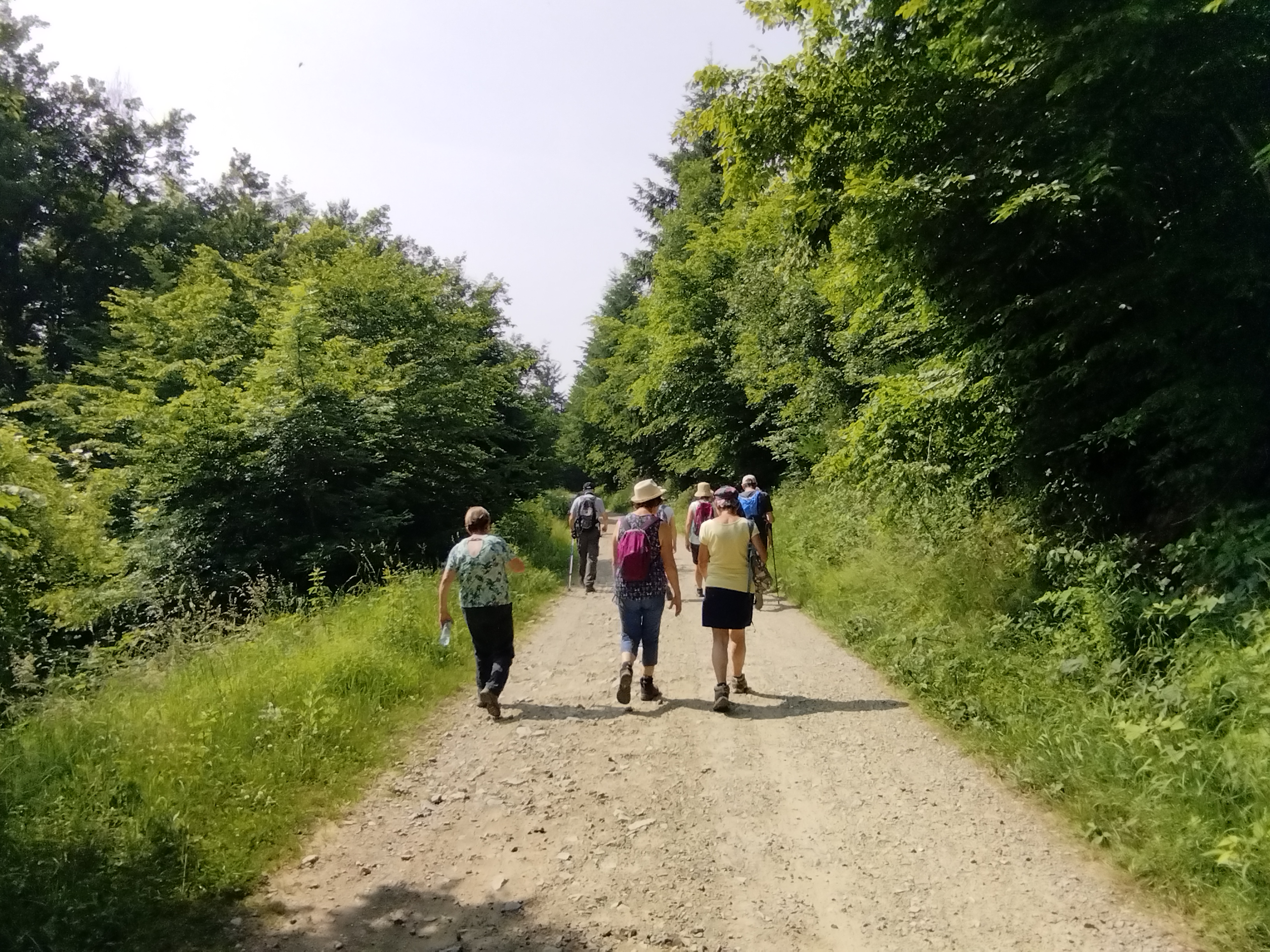2025 - Marche Séniors du mardi - ©Philippe Raibaud _14_.jpg