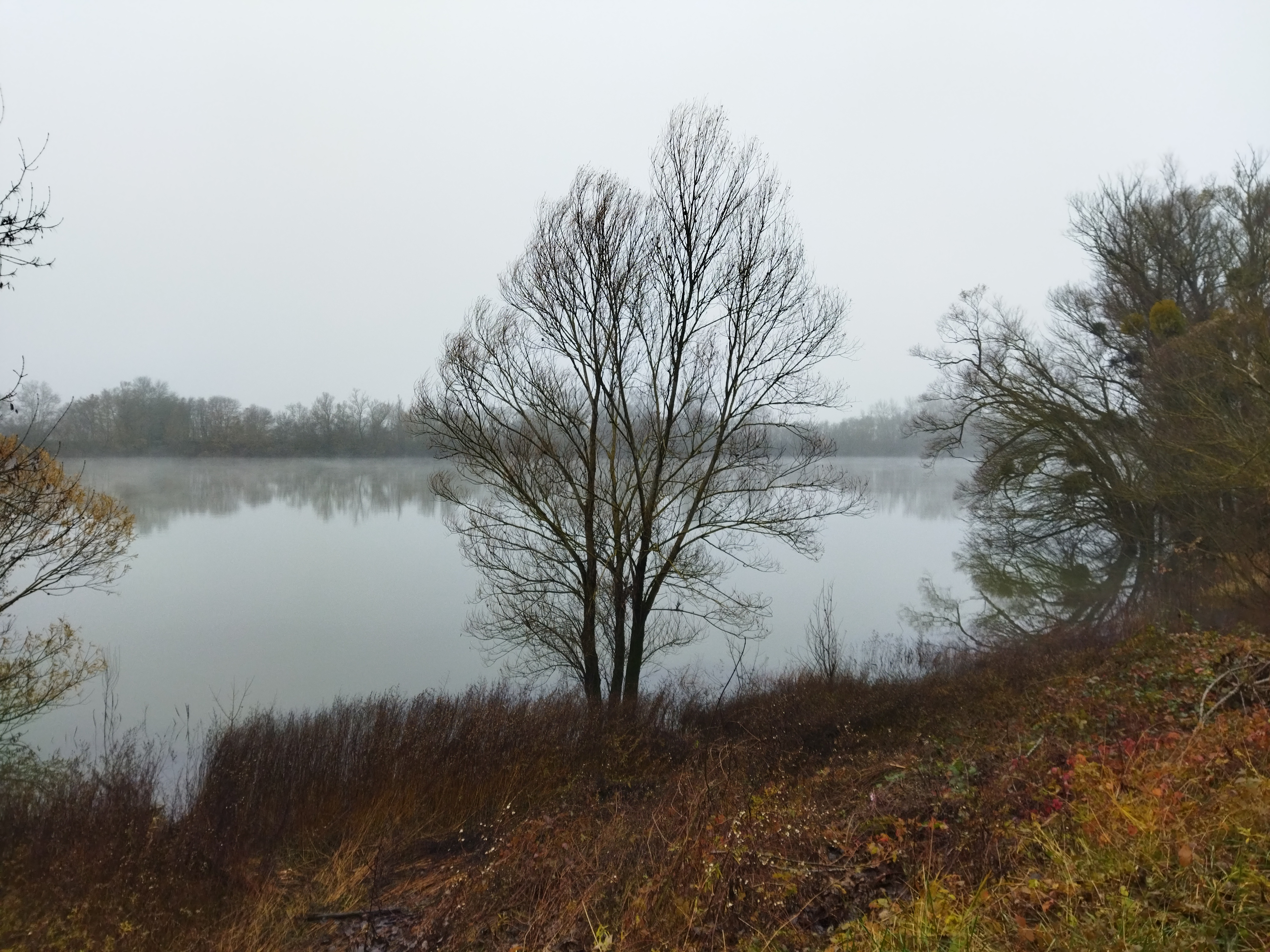 2025 - Randonneurs - Marche du dimanche - ©Philippe Raibaud _3_.jpg