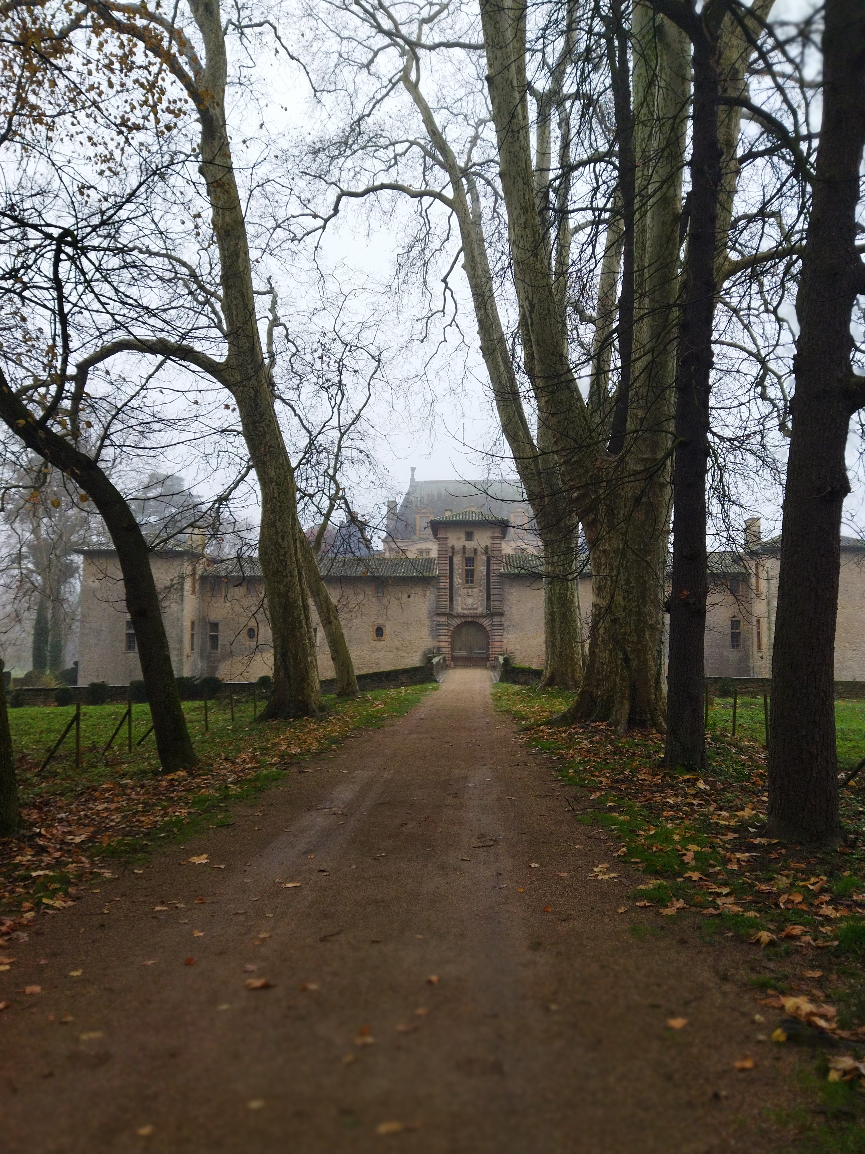 2025 - Randonneurs - Marche du dimanche - ©Philippe Raibaud _4_.jpg