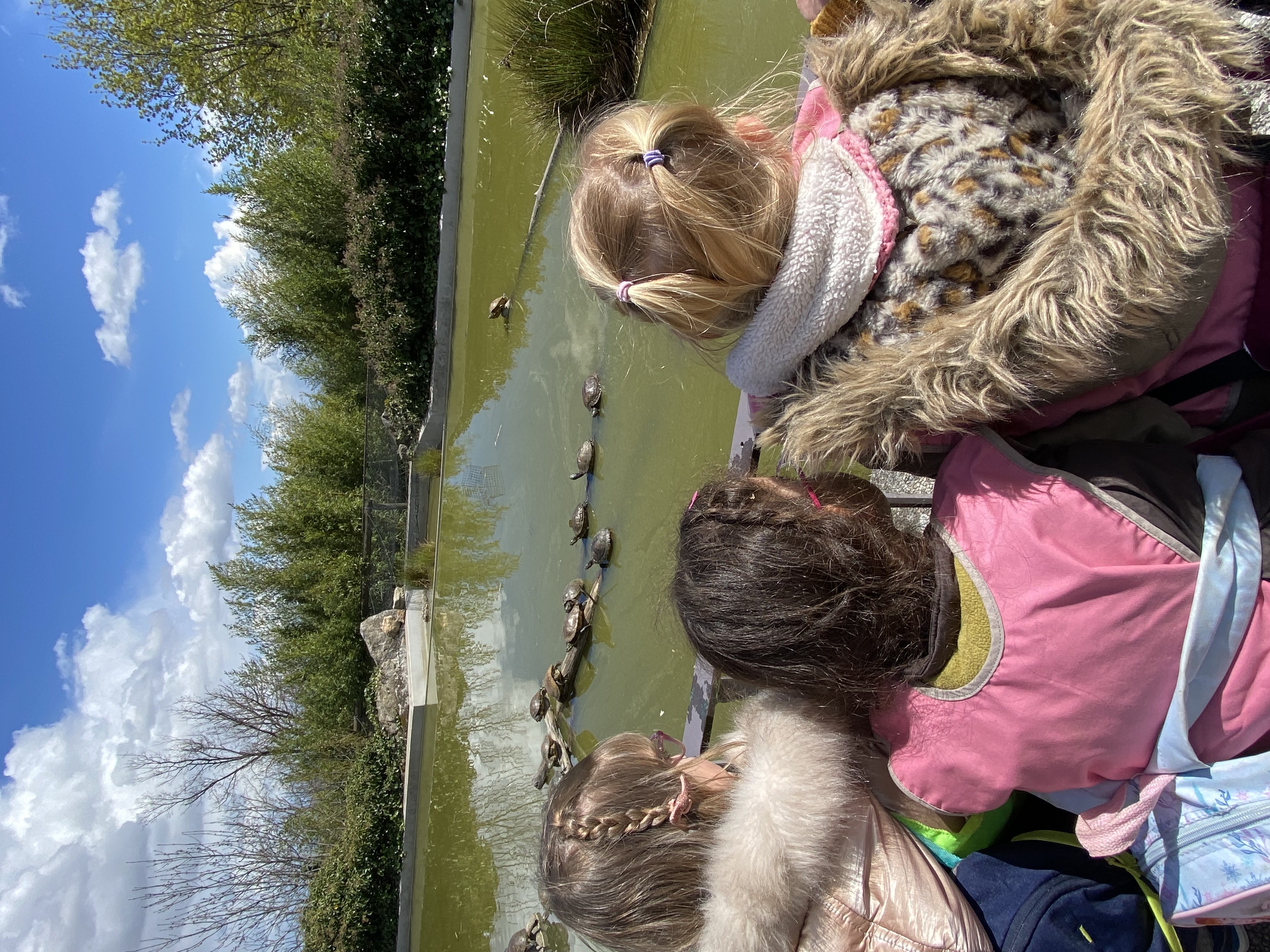 New Maison Enchantee _12_.jpg