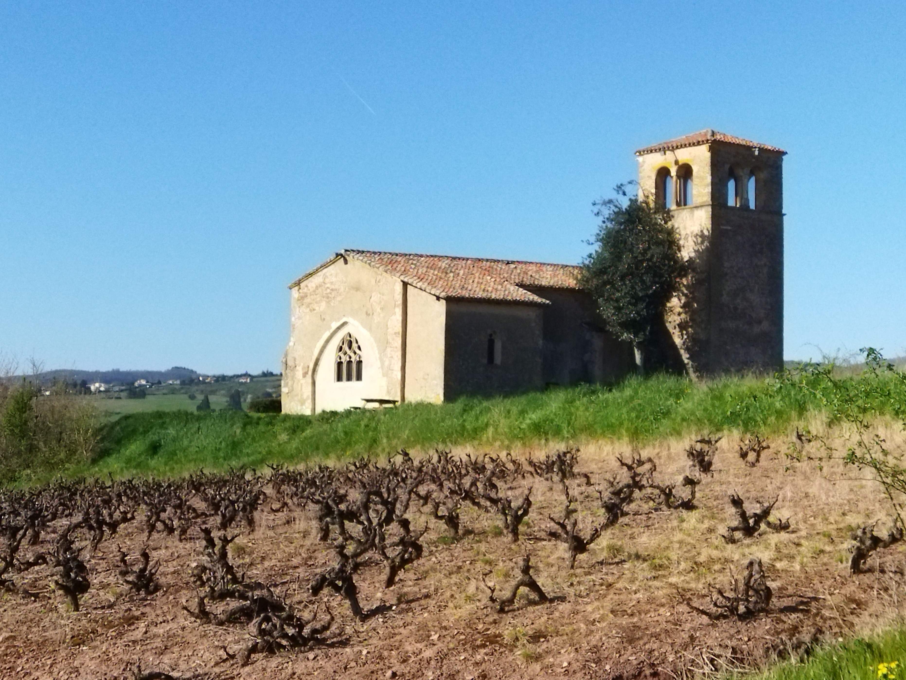 2025 - Marche Séniors du mardi - ©Philippe Raibaud _9_.jpg
