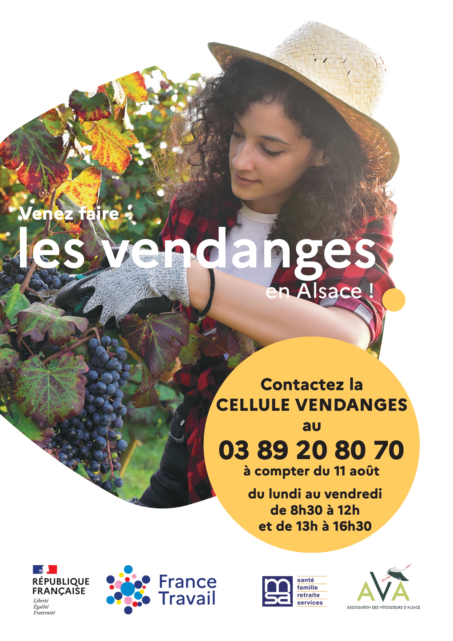 Affiche Vendanges Alsace 2025.jpg