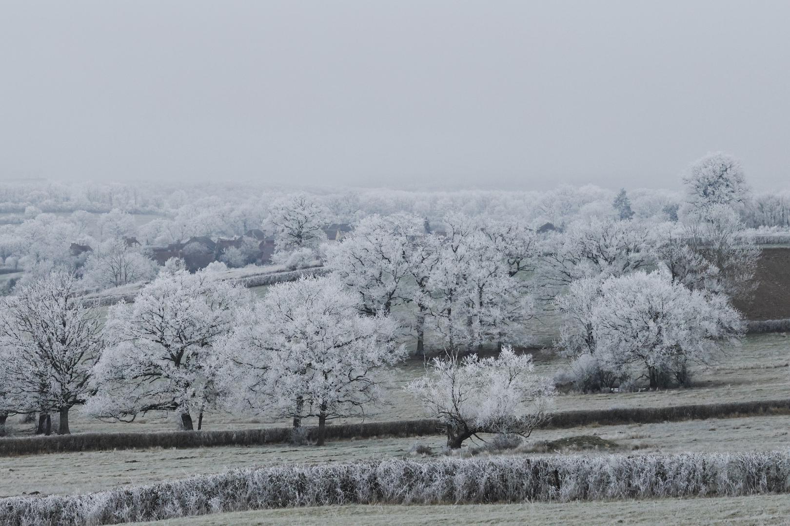 mini paysage hiver 25__93A4780.JPG