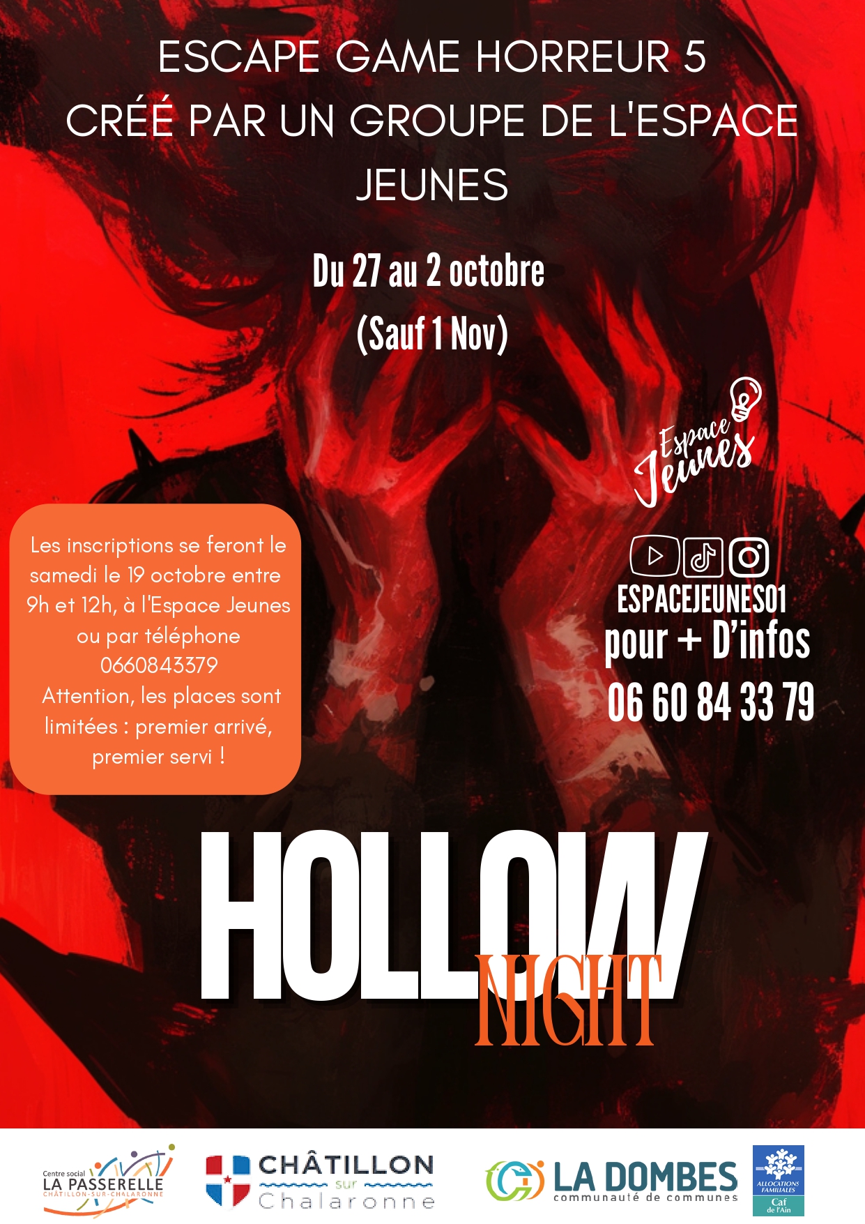 Affiche HOLLOW NIGHT.jpg