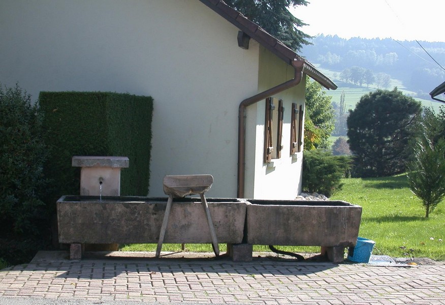 fontaine repas 2.jpg