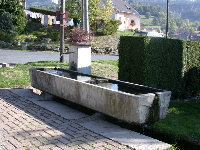 fontaine repas 1.JPG