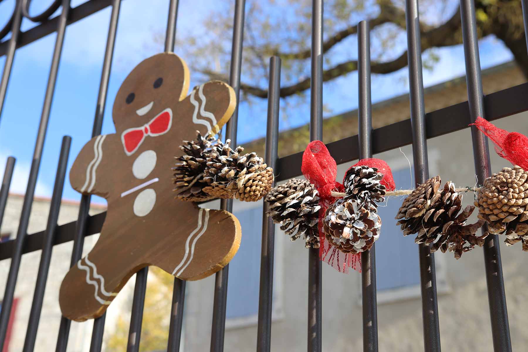 ©goticaardecana Jérôme Rolland- Noel decoration LGA 301122 - 2022-11-30 11.55.25.jpg