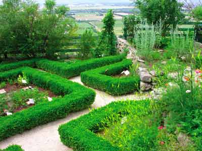 LGA - Jardin parterre carré 2.jpg