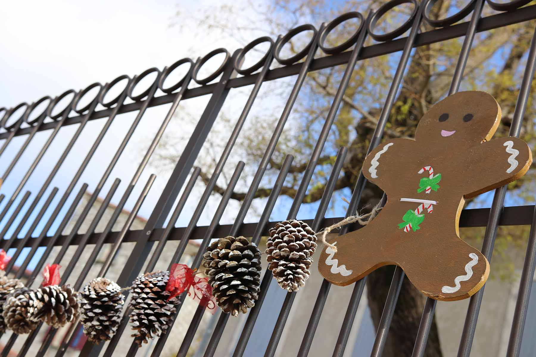 ©goticaardecana Jérôme Rolland- Noel decoration LGA 301122 - 2022-11-30 11.55.54.jpg