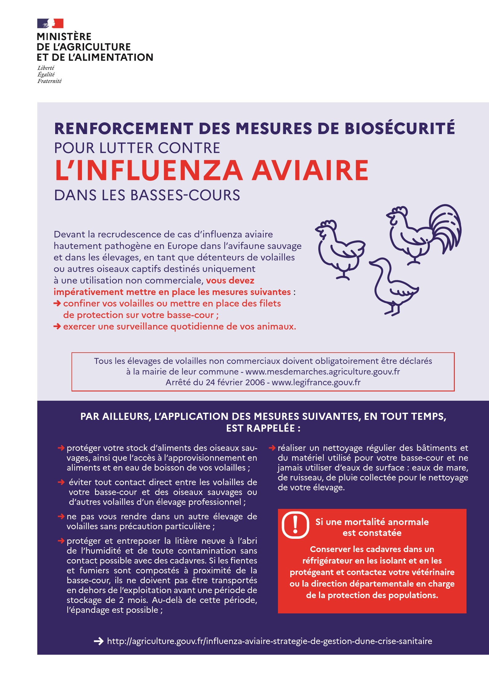 biosecurite basses-cours_1.jpg