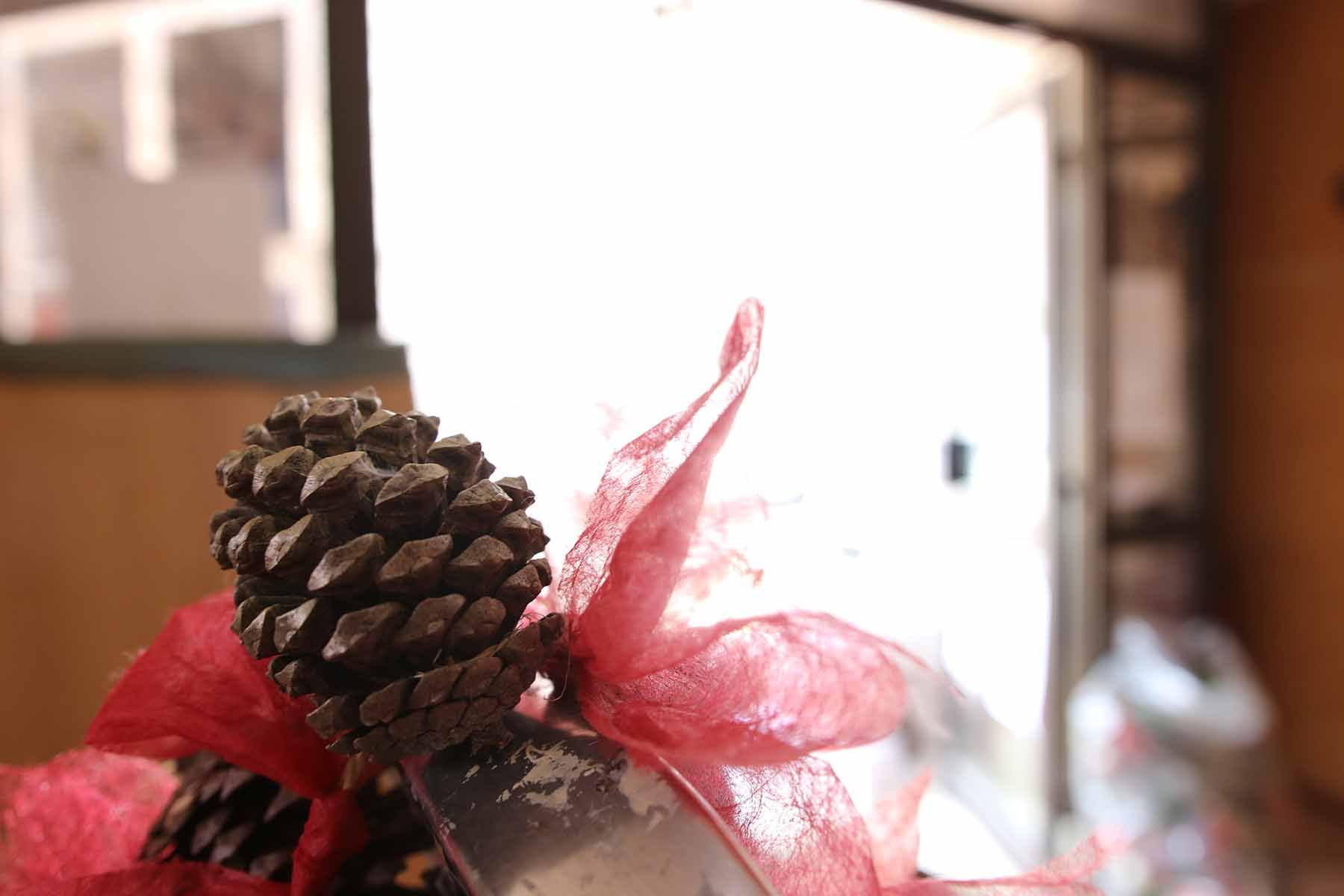 ©goticaardecana Jérôme Rolland- Noel decoration LGA 301122 - 2022-11-30 11.26.29.jpg