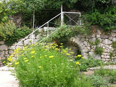 LGA - Jardin  escalier.jpg