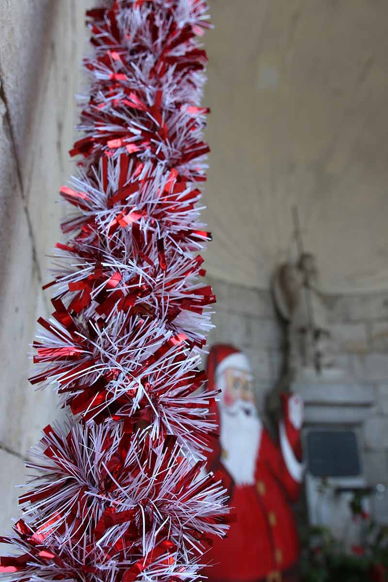 ©goticaardecana Jérôme Rolland- Noel decoration LGA 301122 - 2022-11-30 10.06.27.jpg