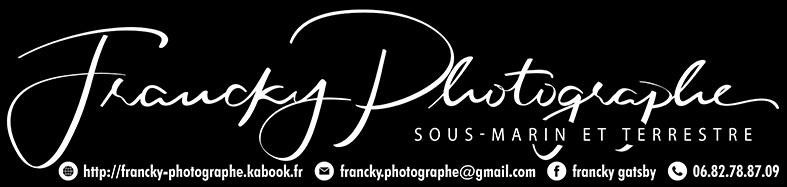 LGA - Francky Photographe logo.jpeg