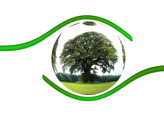 LGA - Eco responsabilite - arbre bulle.jpg