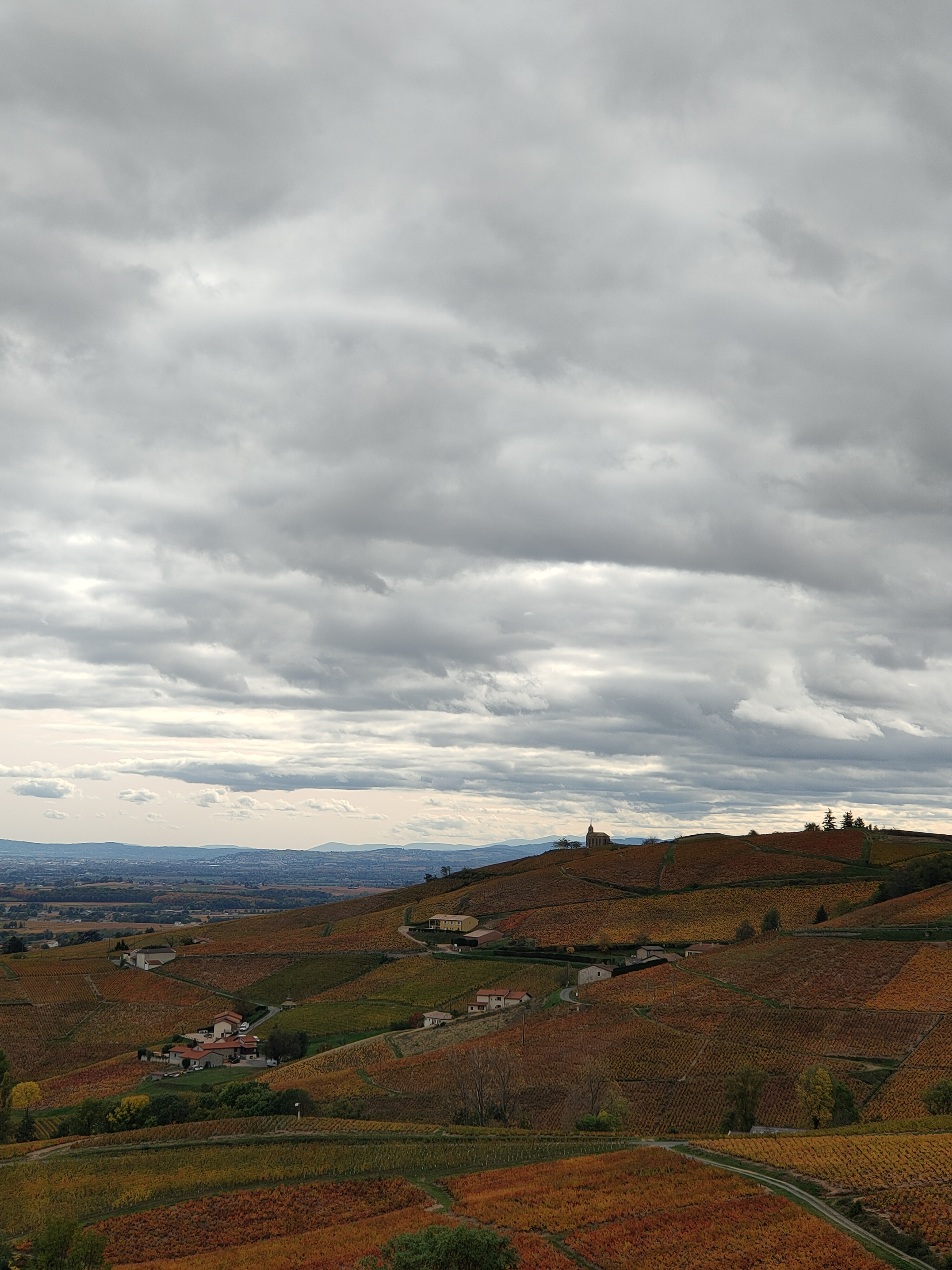 IMG20201024154215.jpg