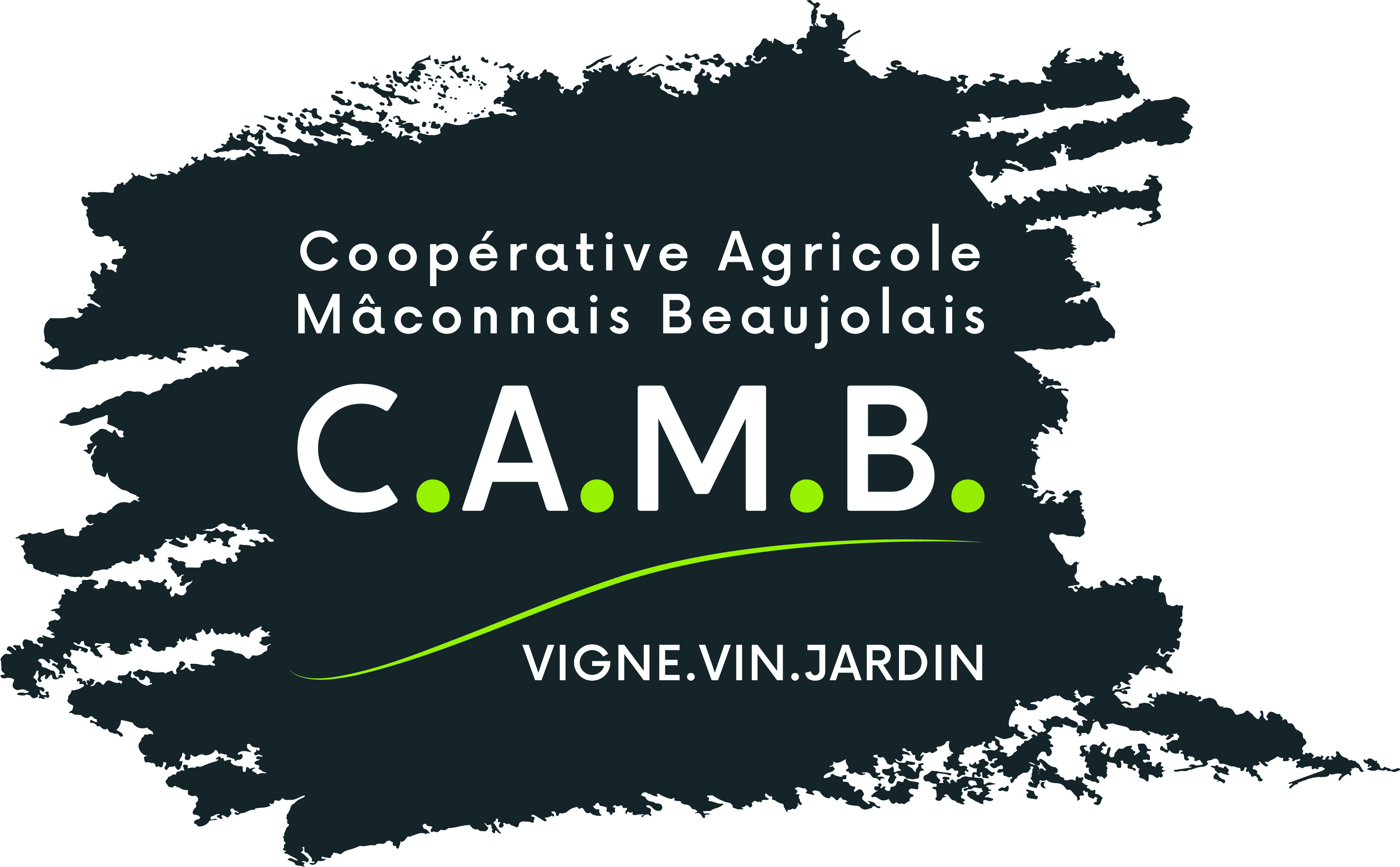 logo CAMB .jpg
