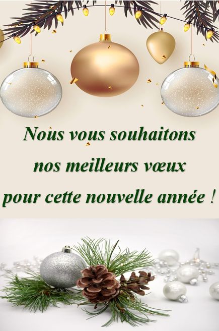 meilleurs voeux 2026.jpg