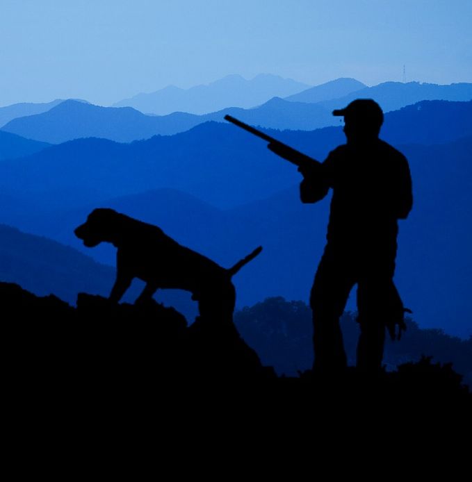 chasse 2.jpg