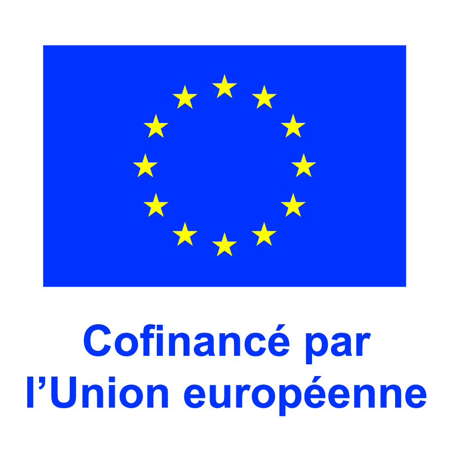FR V Cofinancé par l’Union européenne_POS.jpg
