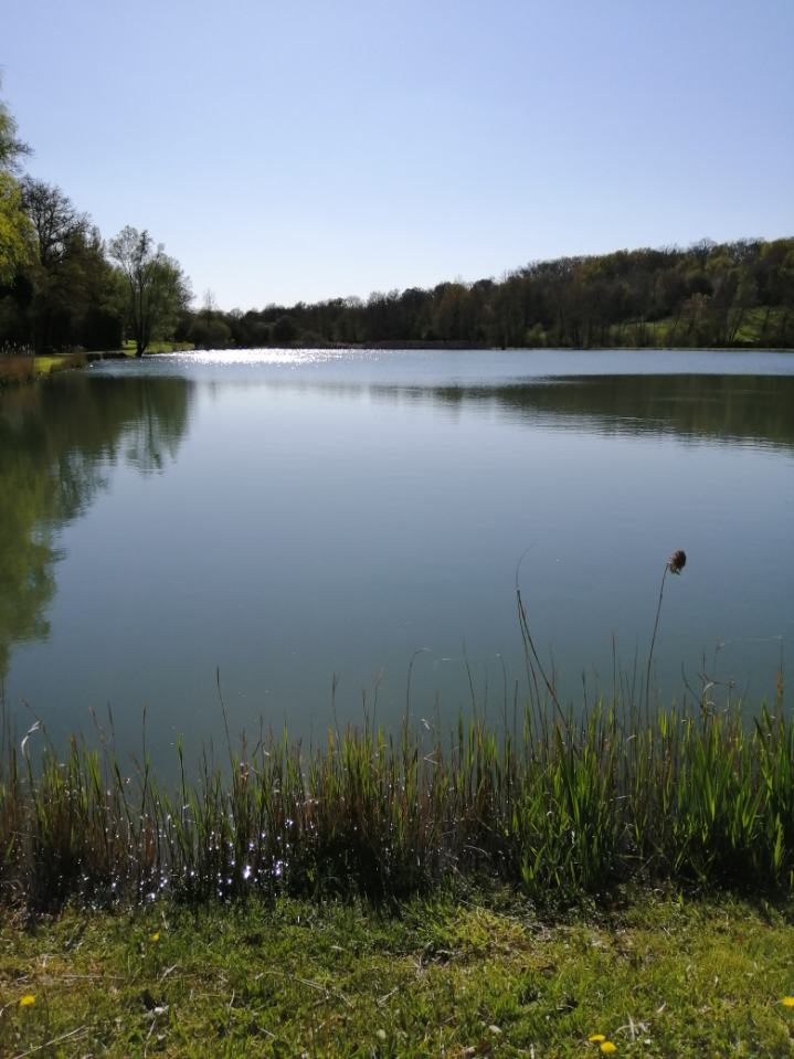 étang2.jpg