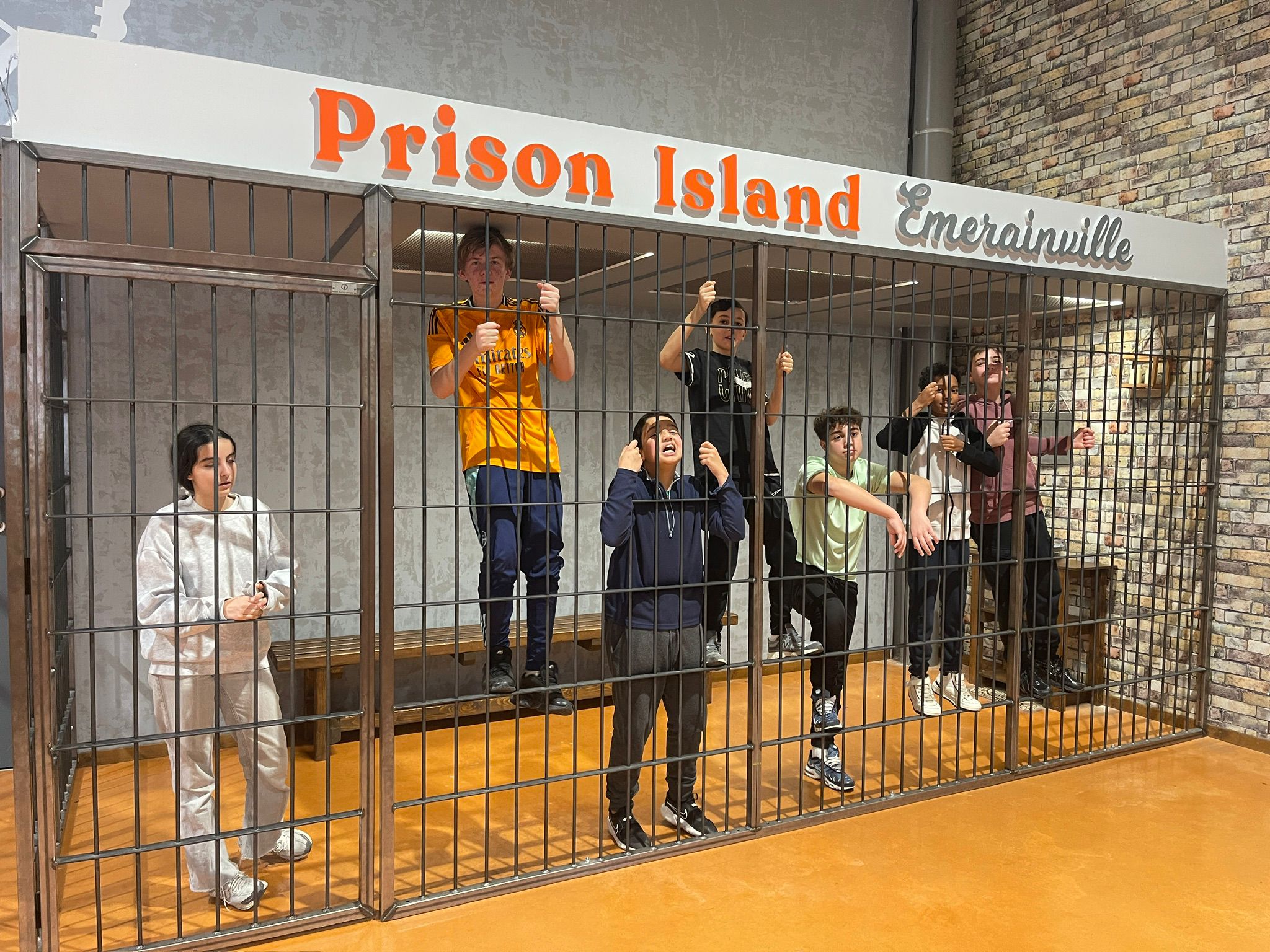 WhatsApp Image 2026-02-25 at 14.14.33.jpeg